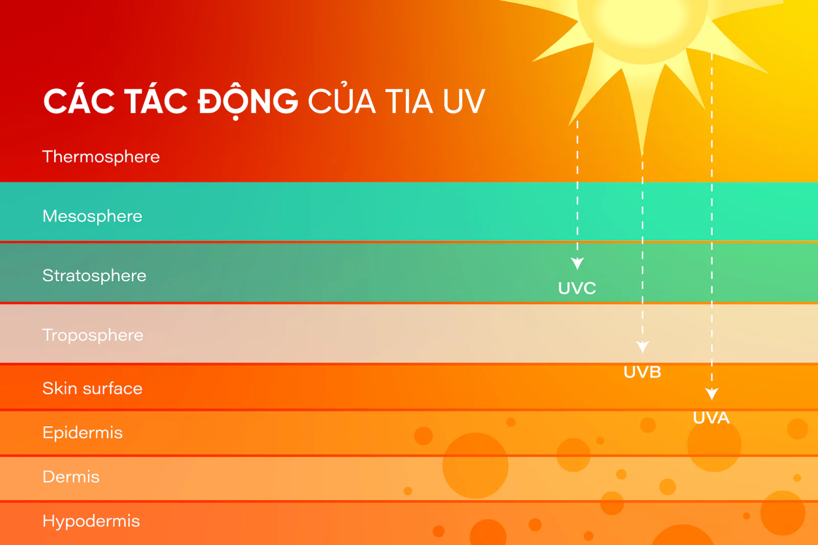 anh-nang-mat-troi-anh-huong-den-da-nhu-the-nao