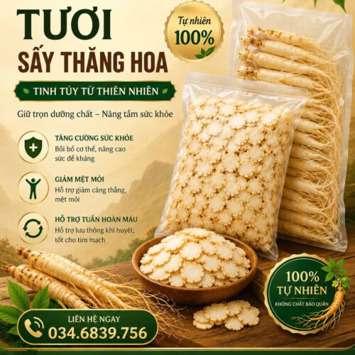 Nhân Sâm Tươi Sấy Thăng Hoa