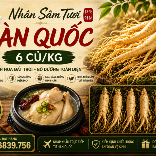 Nhân Sâm tươi Hàn Quốc 6 củ/kg