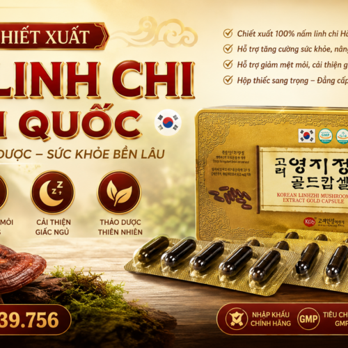 Viên Chiết Xuất Nấm Linh Chi Hàn Quốc KGS - Korean Linhzhi Mushroom Etract Gold Capsule 830mg x 120 Viên Hộp Thiếc